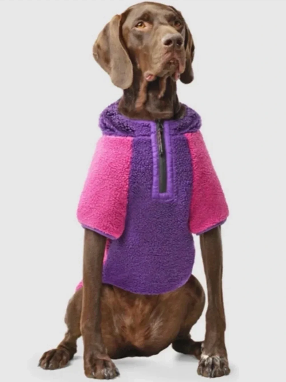 Canada Pooch Cool Factor Fleece Dog Hoodie in Pink & Purple - NWT Size 28